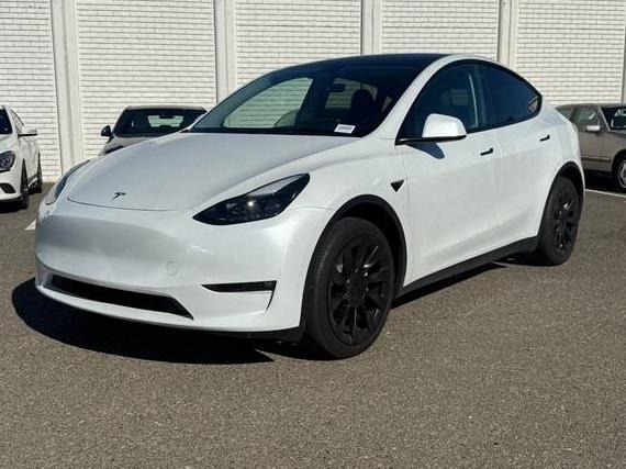 TESLA MODEL Y 2023 7SAYGDEE4PF761090 image